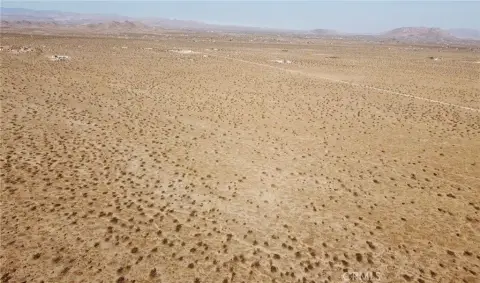 Joshua Tree Land: One Square Mile