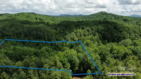 Wooded Lot in Mountain River Club