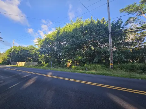 Wooded Agricultural Land