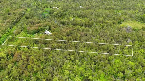 Volcano Land Parcel in Fern Forest
