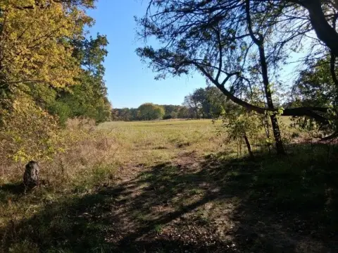 Unimproved Land in Ivanhoe, TX