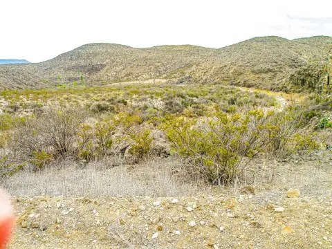 Terlingua Hunting Land For Sale