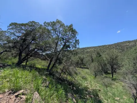 Fort Davis Land with Views