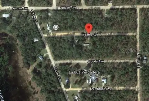 Land Near Lake, Interlachen, FL
