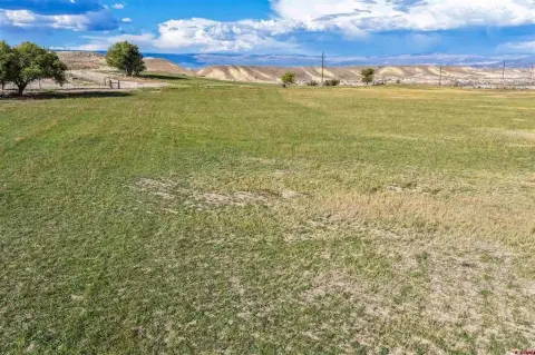 Irrigated Agricultural Land