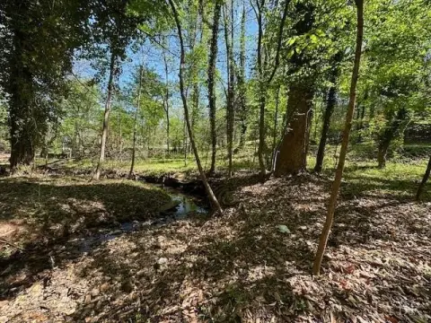 Lynchburg Land with Creek Access