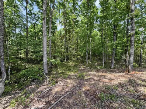 Residential Lot in Sheridan, AR