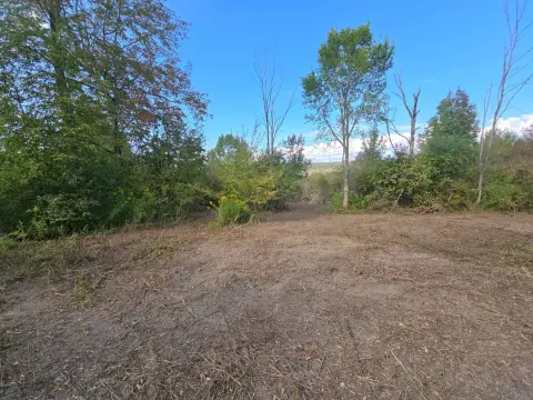 Recreational Hunting & Buildable Lot