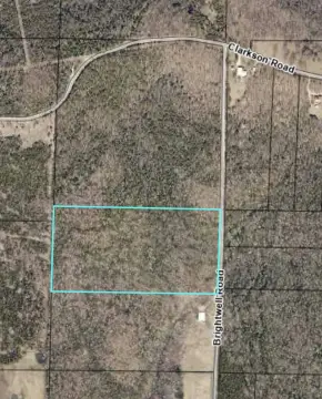 20 Acres of Untouched Woodland
