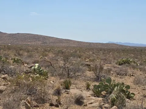 Mountain View Land
