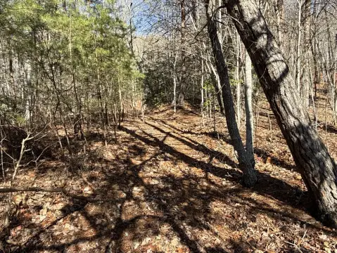 Unrestricted Land Near Asheville