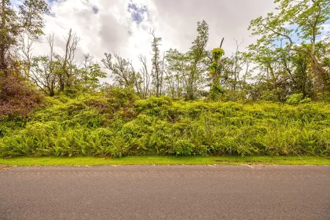 One Acre Lot in Pahoa