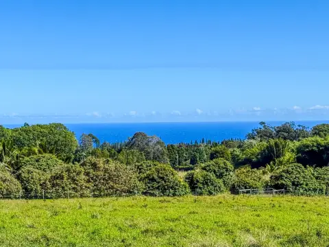 Hakalau Land with Ocean Views