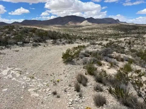 Terlingua Hunting Land For Sale