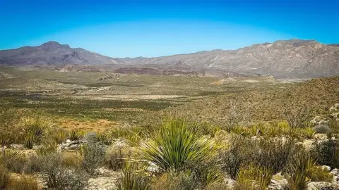 Terlingua Land for Hunting, Camping