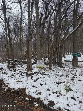 Wooded Land Near Juniata River