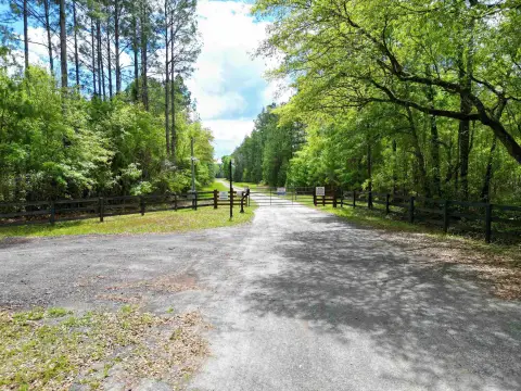 Expansive Land Parcel in Greenville