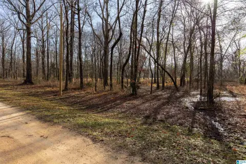 Hunting Land Near Alabama River