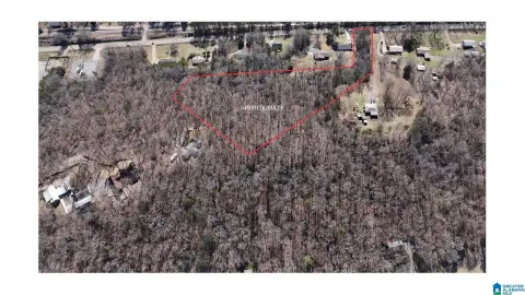 Residential Lot in Montevallo, AL