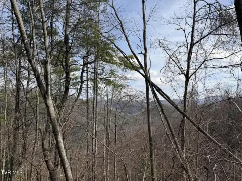 Mountain City Land with Views