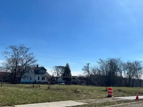 Residential Land in Growing Detroit