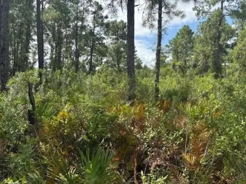 River Ranch Camp Lot Land