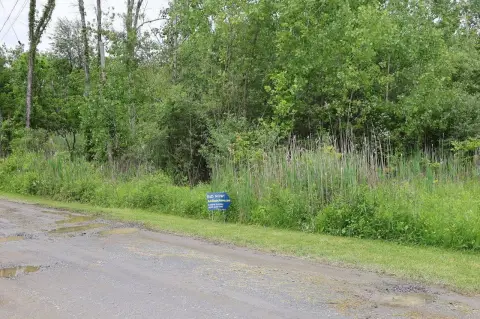 Vacant Commercial Land in Beekman