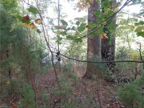 Smithfield Land Near James River