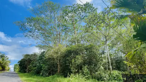 Undeveloped 1-Acre Lot in Keaau