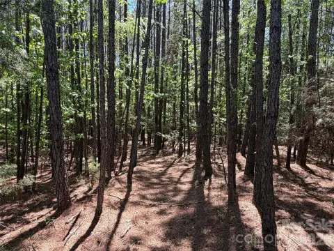 5 Acres Land Union, SC