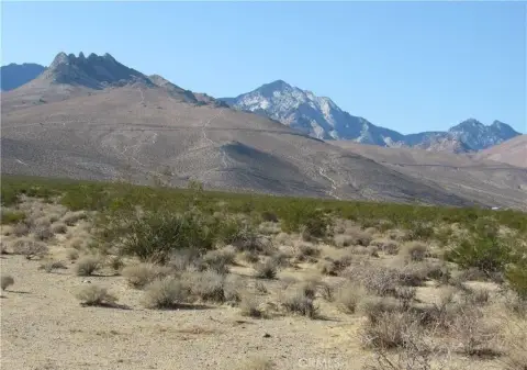 Inyokern Land Parcel For Sale