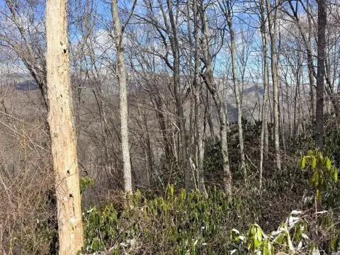 Land Near Nantahala Gorge