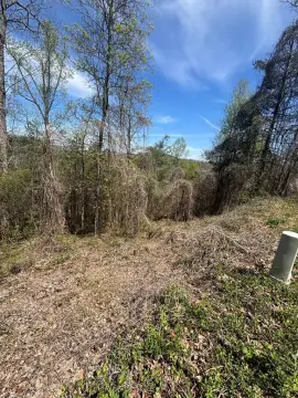 Mountain View Lot in Murphy