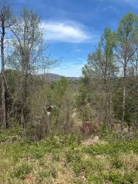 Mountain View Lot in Murphy