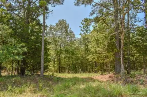 Rural Home Lot With Pines