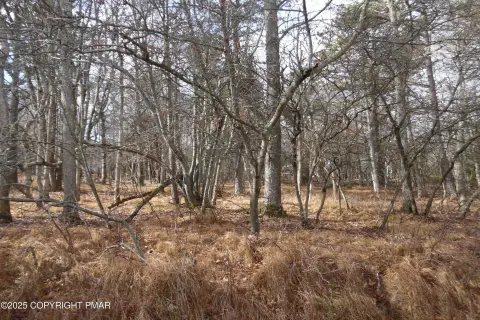 Albrightsville Land with Septic Test