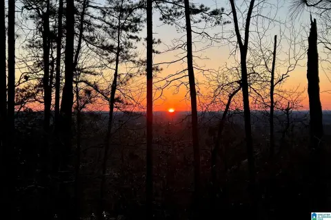 Mountain View Estate Lot