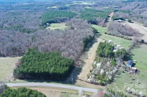 Wooded Acreage with Main Road Frontage