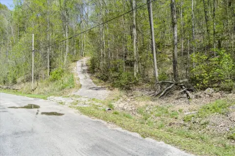 Wooded 13.13-Acre Residential Land