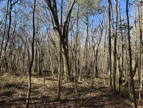 Kingstree Vacant Land For Sale
