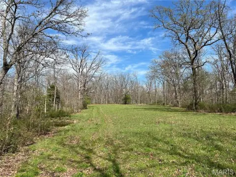 Secluded Hunting Retreat in Ozarks