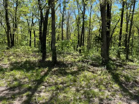 Residential Land in Festus, MO
