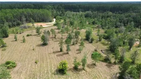 Partly Cleared Land
