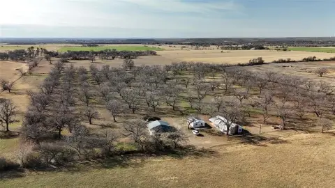 Pecan Orchard on 20 Acres