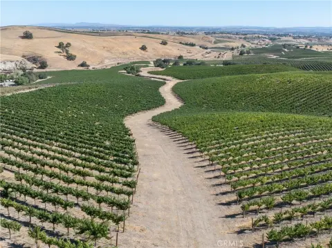 Paso Robles Vineyard with Development Potential
