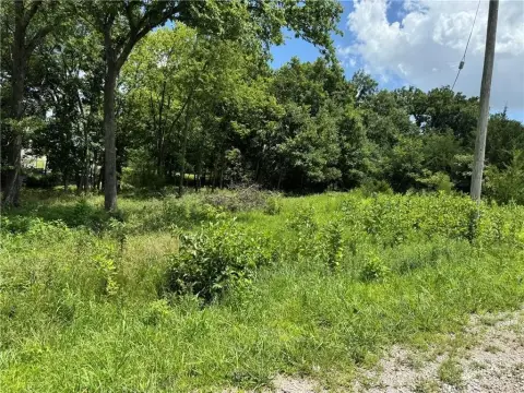Cleared Waterfront Building Lot