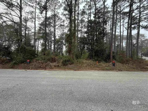 Commercial Lot in Gulf Shores