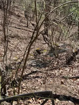 Mountain Land with Serene Vistas