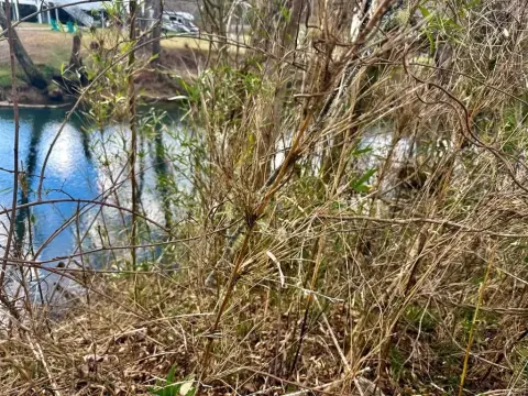 Riverfront Lot in Turkey Creek