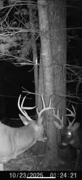 Land Between Murphy and Blue Ridge